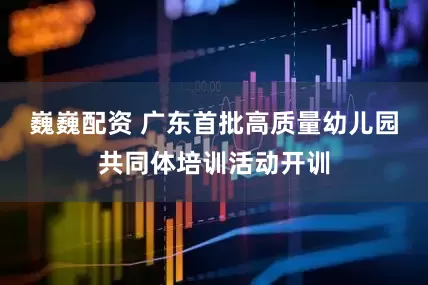 巍巍配资 广东首批高质量幼儿园共同体培训活动开训