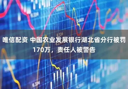 唯信配资 中国农业发展银行湖北省分行被罚170万，责任人被警告