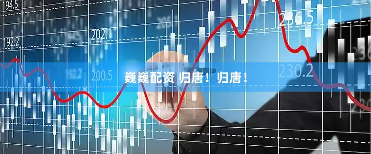巍巍配资 归唐！归唐！
