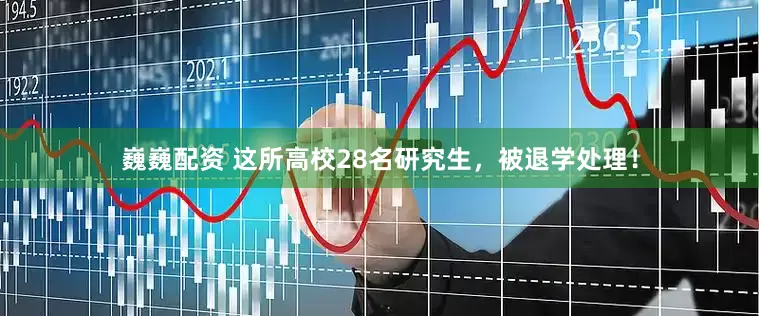 巍巍配资 这所高校28名研究生,被退学处理!