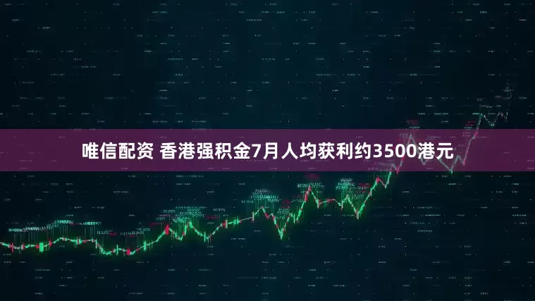 唯信配资 香港强积金7月人均获利约3500港元